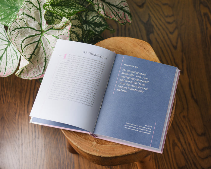 100 Days of All Things New: Daily Devotions to Get Unstuck in Life and Find Purpose Again (A 100-Day Devotional)