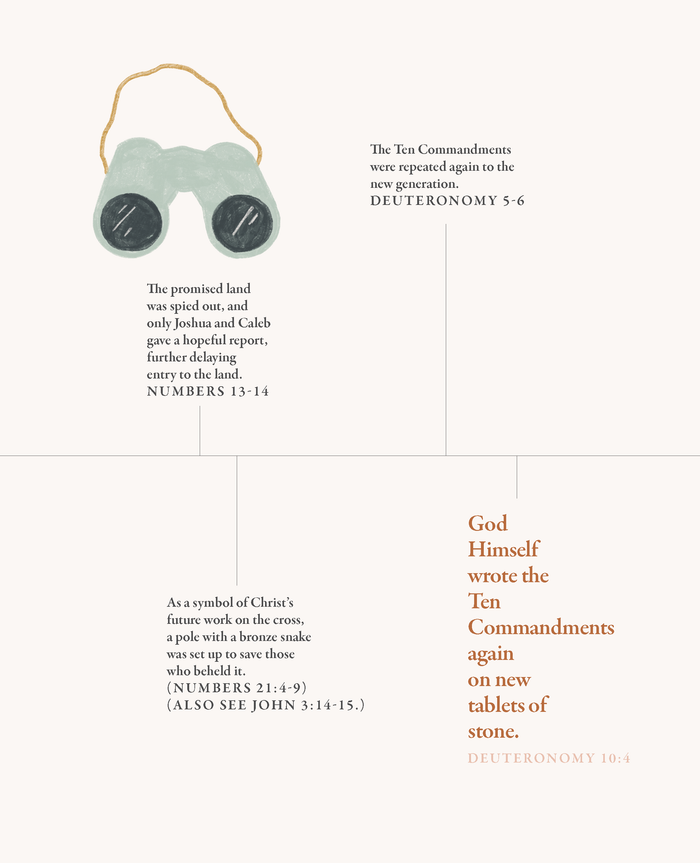 40 Days Through The Bible 3-Pack Bundle