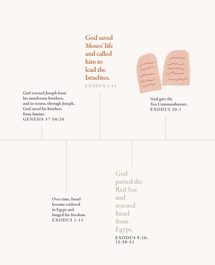 40 Days Through The Bible 3-Pack Bundle