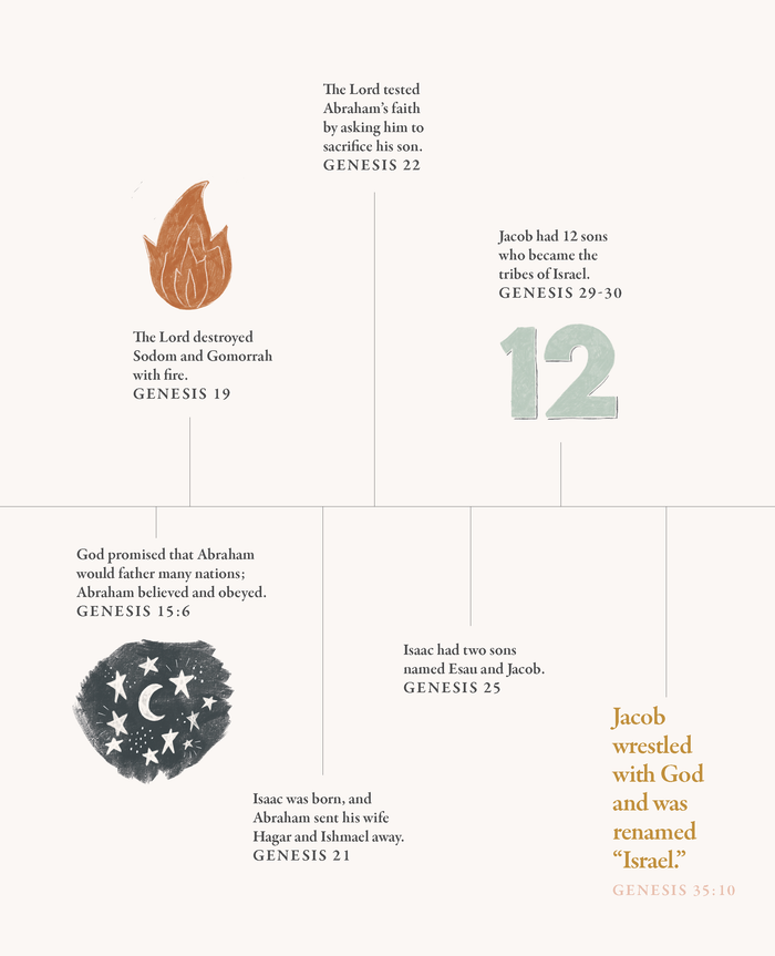 40 Days Through The Bible 3-Pack Bundle
