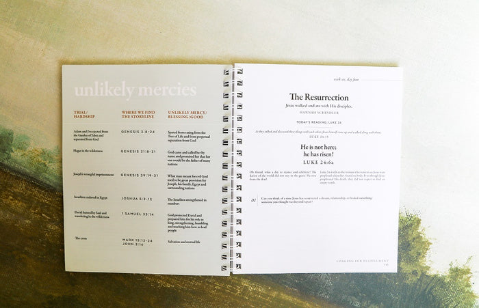 40 Days Through the Bible, Spiral-bound edition: The Answers to Your Deepest Longings
