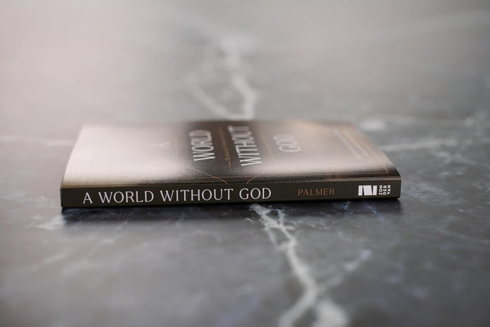 A World Without God: The Search for Meaning in a Society Overwhelmed by Despair