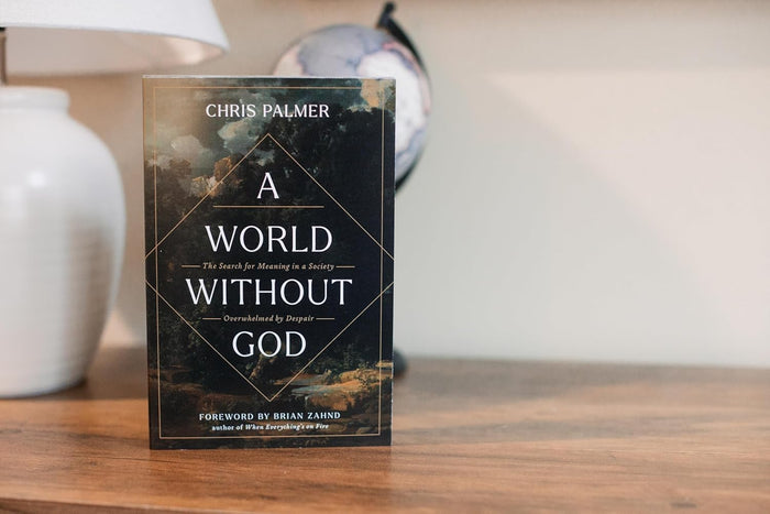 A World Without God: The Search for Meaning in a Society Overwhelmed by Despair