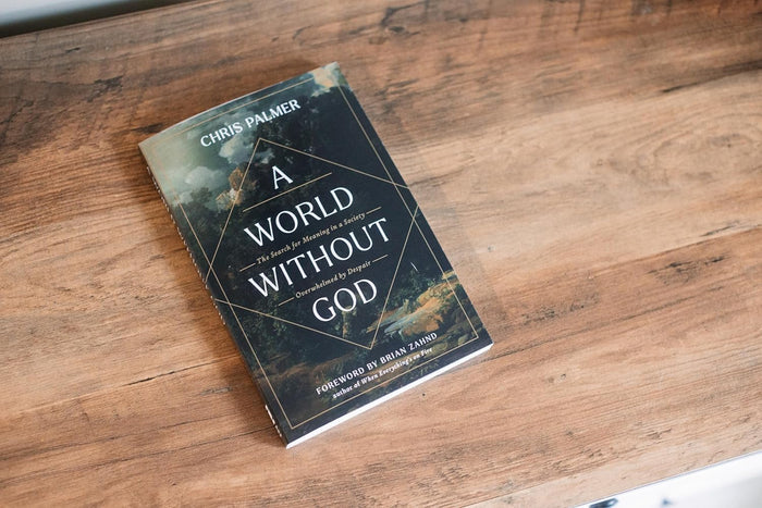A World Without God: The Search for Meaning in a Society Overwhelmed by Despair