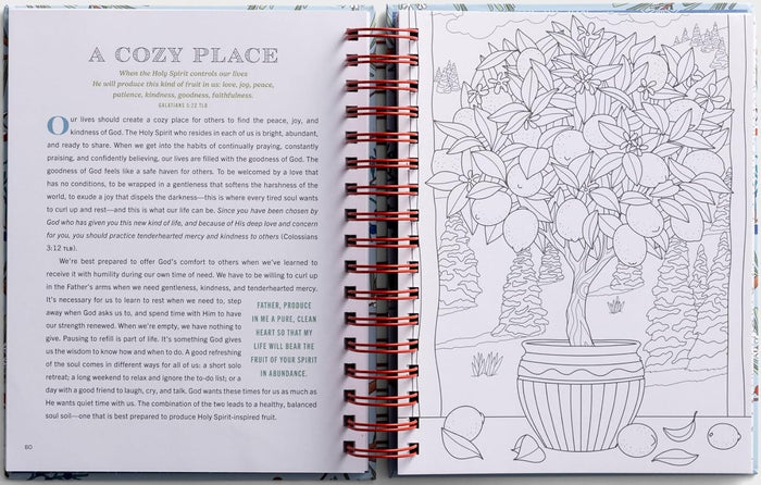 Cozy Moments to Calm Your Heart: Devotional Adult Coloring Book (77 Daily Devotions and Coloring Pages to Warm Your Soul) – The Perfect Gift for Christian Women