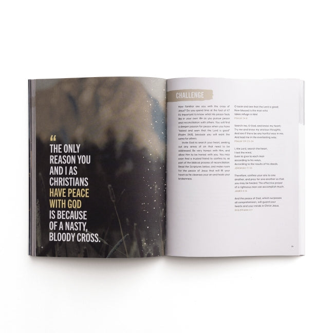 Created for Compassion: Kindness in the Culture Devotional Guide