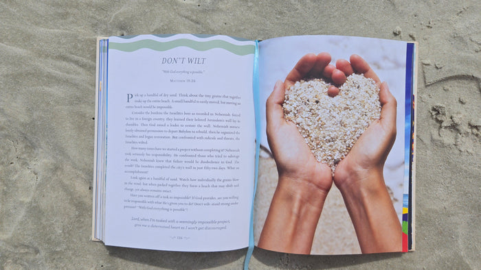 Devotions from the Beach: 100 Devotions