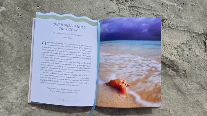 Devotions from the Beach: 100 Devotions