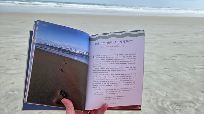 Devotions from the Beach: 100 Devotions
