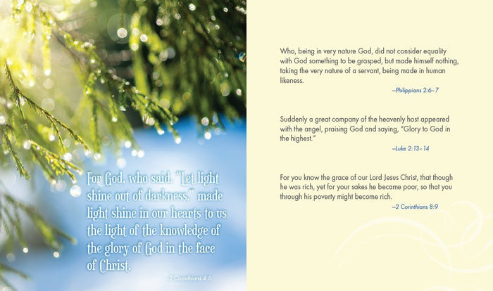 Jesus Calling for Christmas 5-Pack Bundle