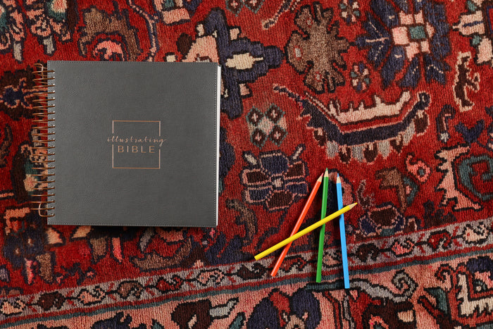 NIV, Spiral-bound Illustrating Bible, Leathersoft Spiral, Dark Gray: Draw, Write, and Reflect Your Way Through Scripture