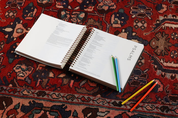 NIV, Spiral-bound Illustrating Bible, Leathersoft Spiral, Dark Gray: Draw, Write, and Reflect Your Way Through Scripture