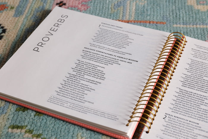 NIV, Spiral-bound Illustrating Bible: Psalms and Proverbs, Leathersoft Spiral, Coral: Draw, Write, and Reflect Your Way Through Scripture
