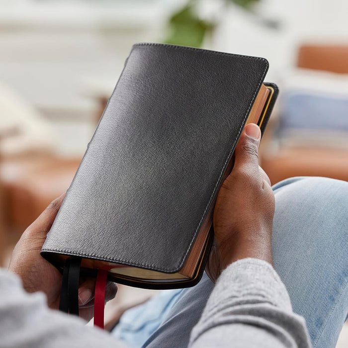 NKJV, Single-Column Reference Bible, Verse-by-verse, Comfort Print