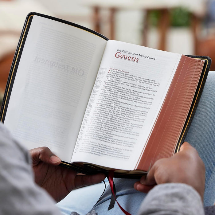 NKJV, Single-Column Reference Bible, Verse-by-verse, Comfort Print