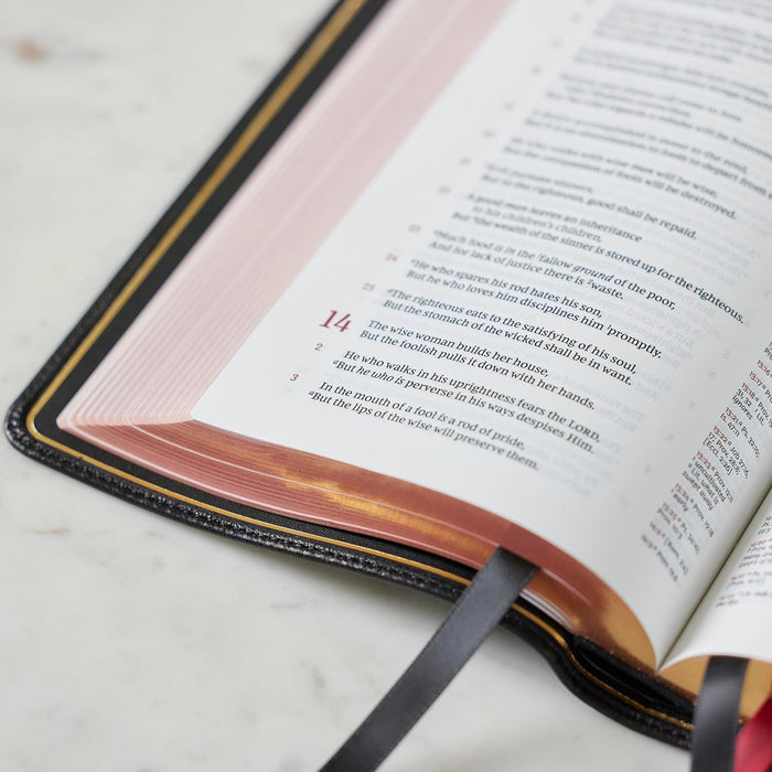 NKJV, Single-Column Reference Bible, Verse-by-verse, Comfort Print