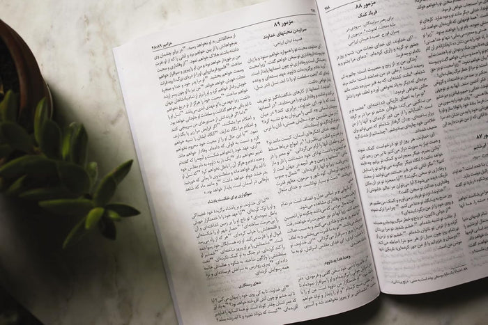 Persian Contemporary Bible, Paperback, Green