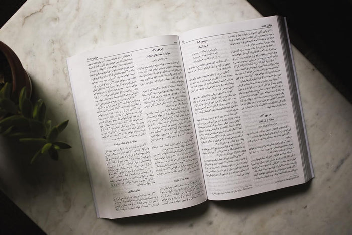 Persian Contemporary Bible, Paperback, Green