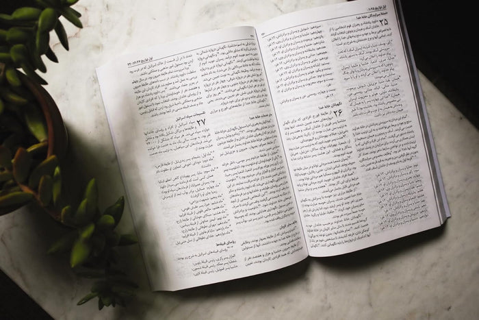 Persian Contemporary Bible, Paperback, Green