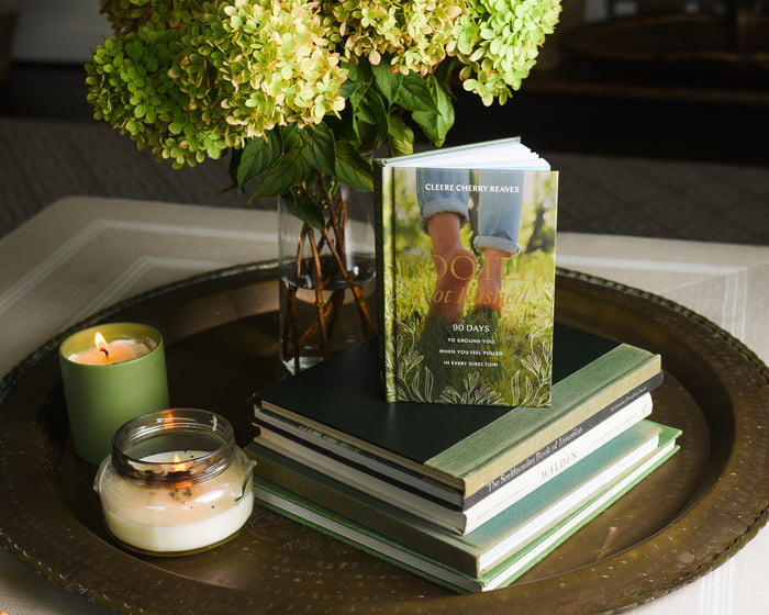 Rooted, Not Rushed: 90 Days to Ground You When You Feel Pulled in Every Direction (A 90-Day Devotional)