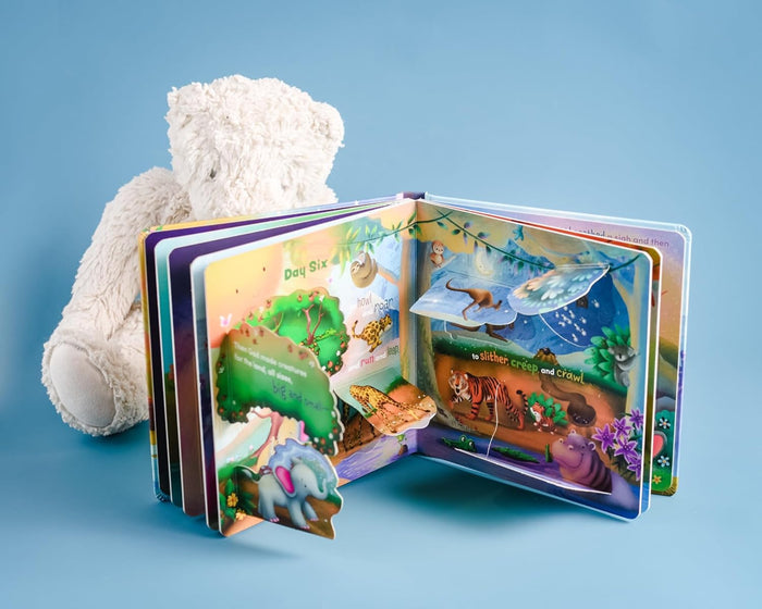 See What God Made!: A Creation Story Lift-the-Flap Book