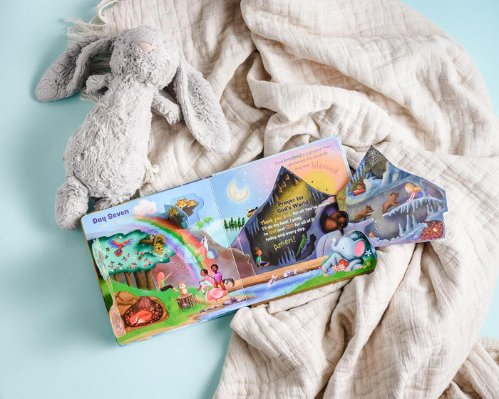 See What God Made!: A Creation Story Lift-the-Flap Book