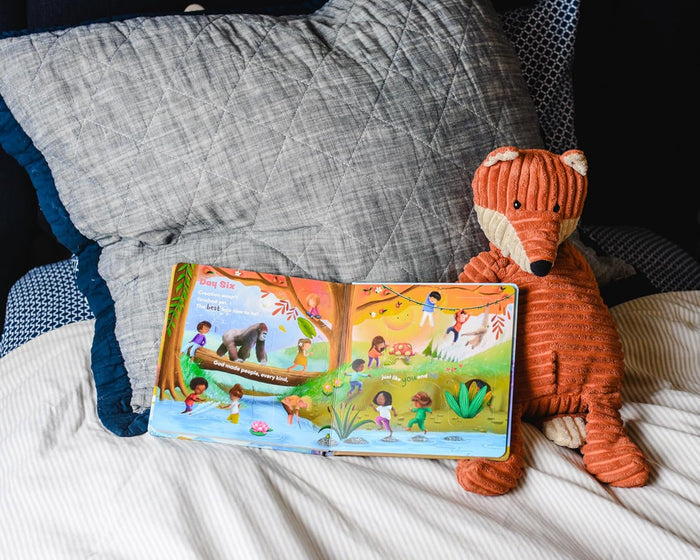 See What God Made!: A Creation Story Lift-the-Flap Book