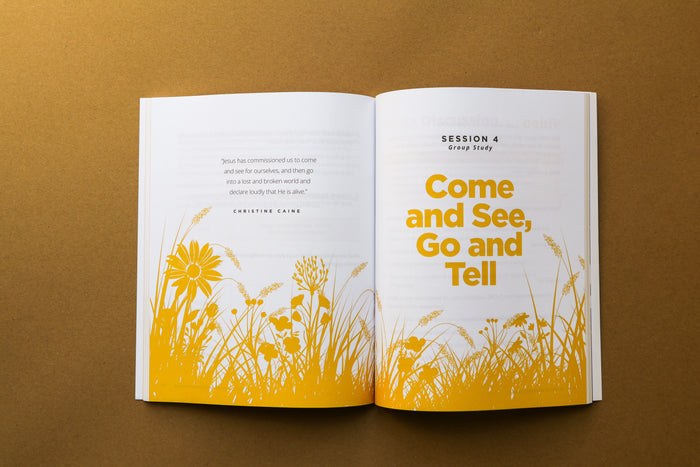 The Promise and Power of Easter Study Guide + Devotional + Bible (Premium Bundle)