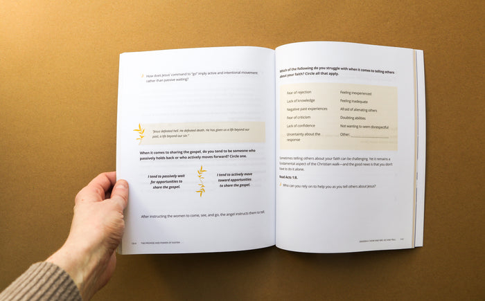 The Promise and Power of Easter Study Guide + Devotional + Bible (Premium Bundle)