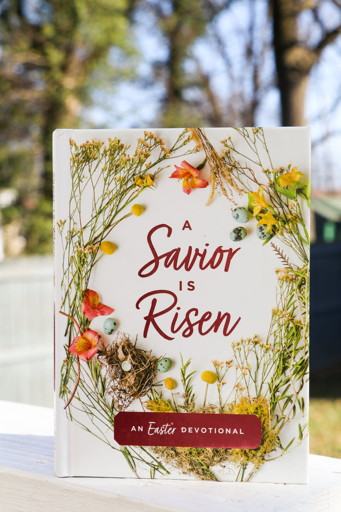 The Promise and Power of Easter Study Guide + Devotional (Standard Bundle)