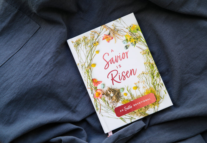The Promise and Power of Easter Study Guide + Devotional (Standard Bundle)